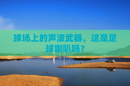球场上的声波武器，这是足球喇叭吗？