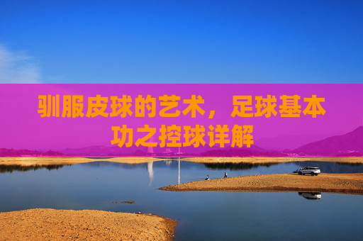 驯服皮球的艺术，足球基本功之控球详解
