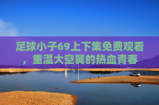 足球小子69上下集免费观看，重温大空翼的热血青春