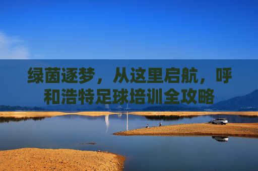 绿茵逐梦，从这里启航，呼和浩特足球培训全攻略