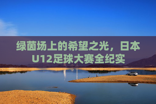 绿茵场上的希望之光，日本U12足球大赛全纪实