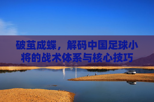 破茧成蝶,解码中国足球小将的战术体系与核心技巧
