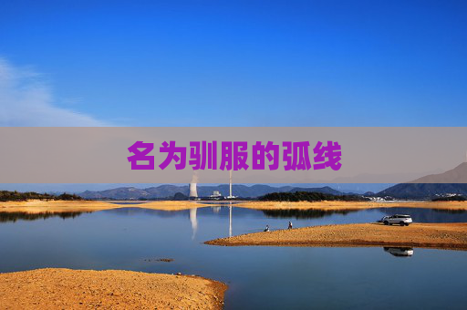 名为驯服的弧线