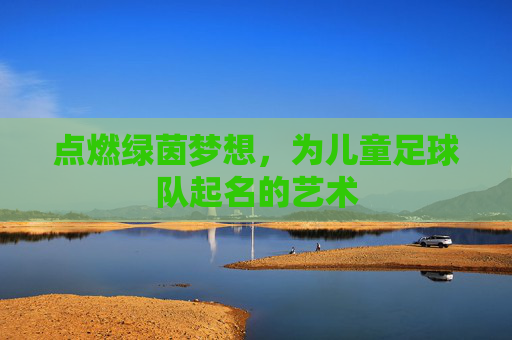 点燃绿茵梦想，为儿童足球队起名的艺术