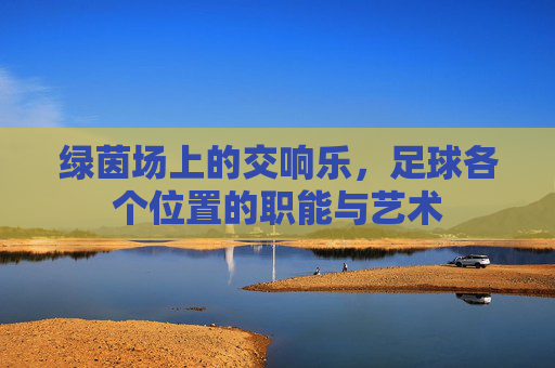 绿茵场上的交响乐,足球各个位置的职能与艺术