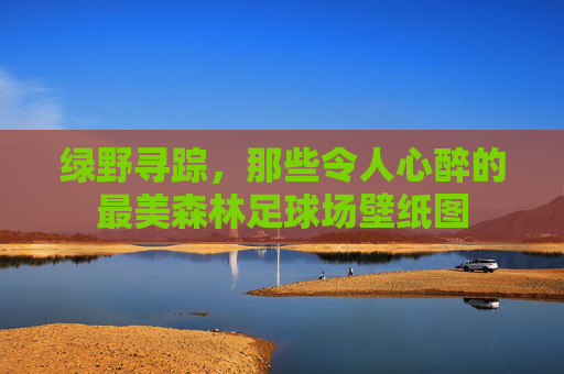 绿野寻踪，那些令人心醉的最美森林足球场壁纸图