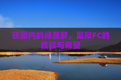铁窗内的绿茵梦,监狱FC的救赎与希望