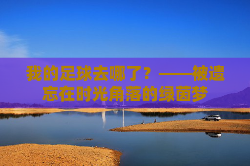 我的足球去哪了?——被遗忘在时光角落的绿茵梦