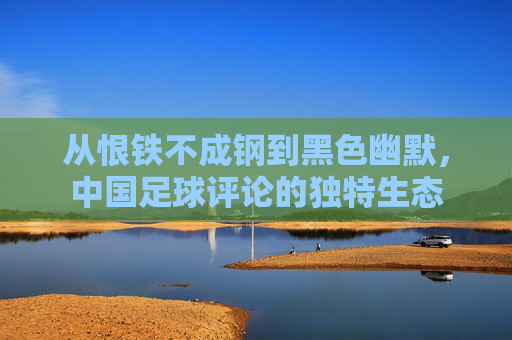 从恨铁不成钢到黑色幽默，中国足球评论的独特生态