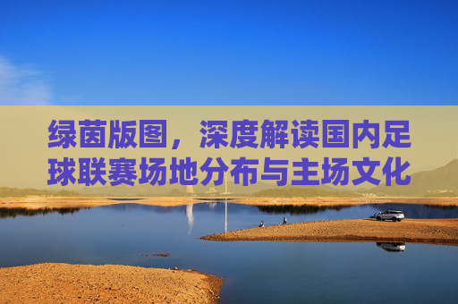 绿茵版图，深度解读国内足球联赛场地分布与主场文化