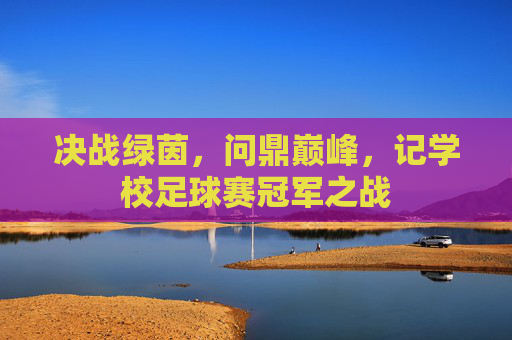 决战绿茵,问鼎巅峰,记学校足球赛冠军之战
