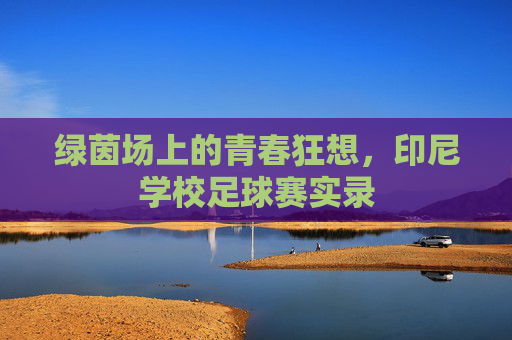 绿茵场上的青春狂想，印尼学校足球赛实录