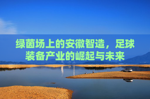 绿茵场上的安徽智造,足球装备产业的崛起与未来