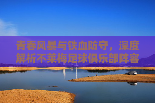 青春风暴与铁血防守,深度解析不莱梅足球俱乐部阵容新格局