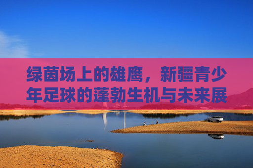 绿茵场上的雄鹰，新疆青少年足球的蓬勃生机与未来展望