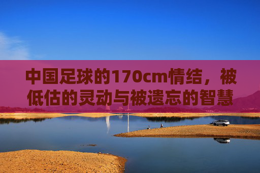 中国足球的170cm情结,被低估的灵动与被遗忘的智慧