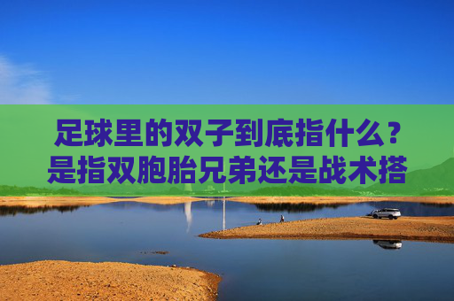足球里的双子到底指什么?是指双胞胎兄弟还是战术搭档?