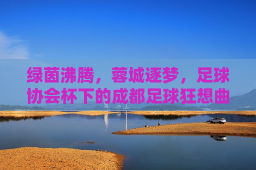 绿茵沸腾,蓉城逐梦,足球协会杯下的成都足球狂想曲