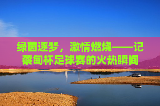 绿茵逐梦,激情燃烧——记蔡甸杯足球赛的火热瞬间