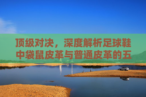顶级对决,深度解析足球鞋中袋鼠皮革与普通皮革的五大核心区别
