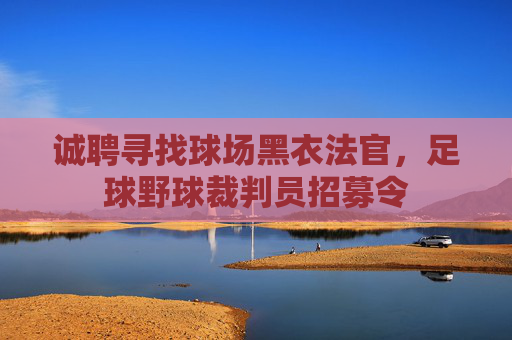诚聘寻找球场黑衣法官,足球野球裁判员招募令