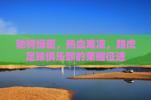驰骋绿茵,热血难凉,路虎足球俱乐部的荣耀征途