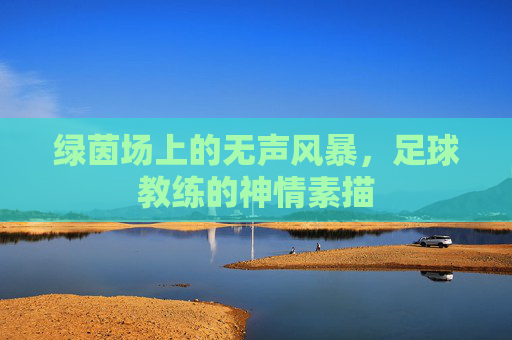 绿茵场上的无声风暴,足球教练的神情素描
