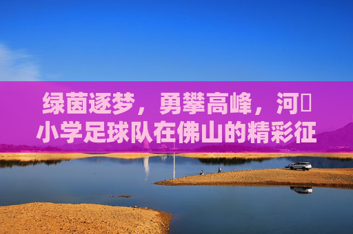 绿茵逐梦,勇攀高峰,河滘小学足球队在佛山的精彩征途