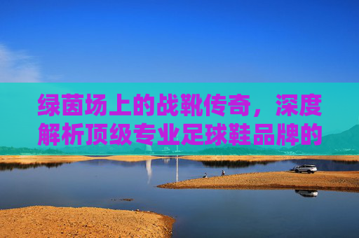 绿茵场上的战靴传奇,深度解析顶级专业足球鞋品牌的科技与美学