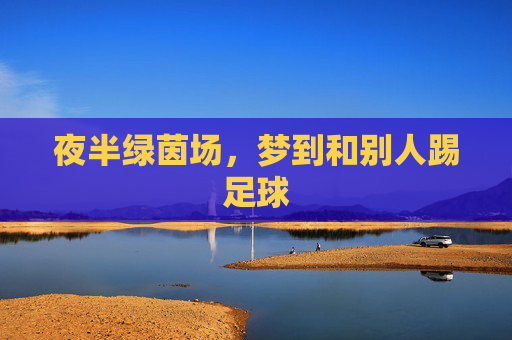 夜半绿茵场,梦到和别人踢足球