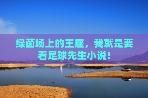 绿茵场上的王座,我就是要看足球先生小说!