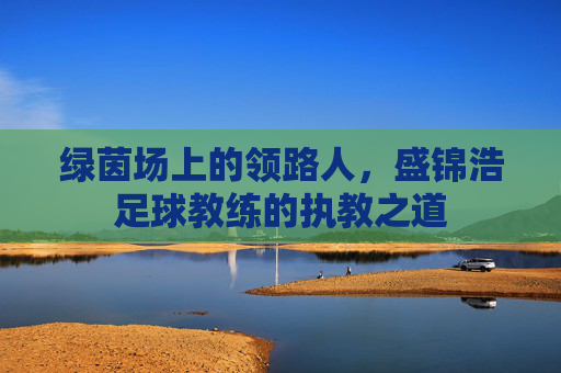 绿茵场上的领路人,盛锦浩足球教练的执教之道
