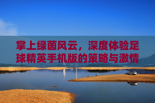 掌上绿茵风云，深度体验足球精英手机版的策略与激情