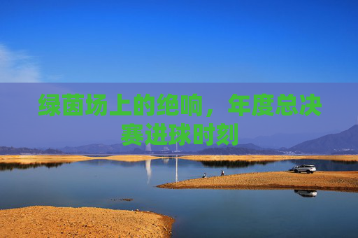 绿茵场上的绝响，年度总决赛进球时刻