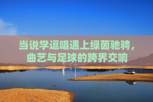 当说学逗唱遇上绿茵驰骋，曲艺与足球的跨界交响