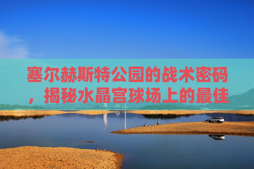 塞尔赫斯特公园的战术密码，揭秘水晶宫球场上的最佳进球位置