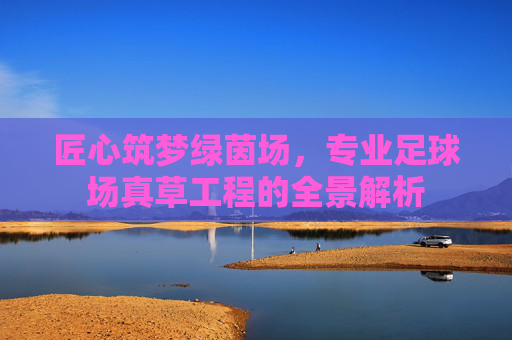 匠心筑梦绿茵场，专业足球场真草工程的全景解析
