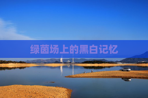 绿茵场上的黑白记忆