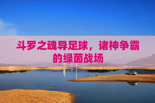 斗罗之魂导足球,诸神争霸的绿茵战场