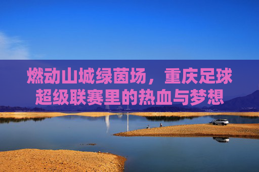 燃动山城绿茵场,重庆足球超级联赛里的热血与梦想