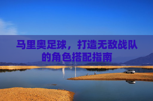 马里奥足球，打造无敌战队的角色搭配指南