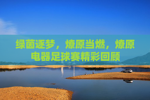 绿茵逐梦，燎原当燃，燎原电器足球赛精彩回顾