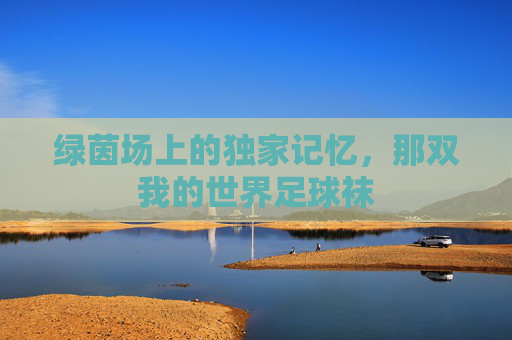 绿茵场上的独家记忆,那双我的世界足球袜