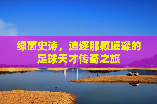 绿茵史诗,追逐那颗璀璨的足球天才传奇之旅