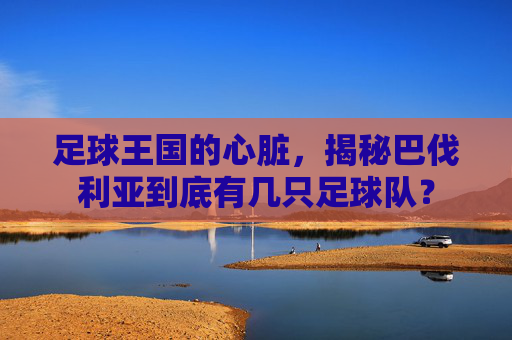 足球王国的心脏，揭秘巴伐利亚到底有几只足球队？