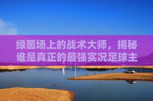 绿茵场上的战术大师，揭秘谁是真正的最强实况足球主教练