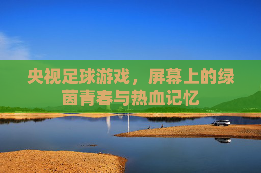 央视足球游戏，屏幕上的绿茵青春与热血记忆