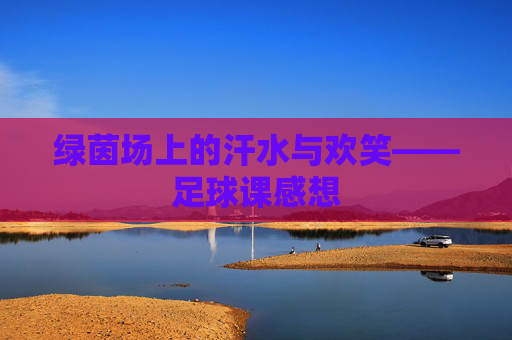 绿茵场上的汗水与欢笑——足球课感想