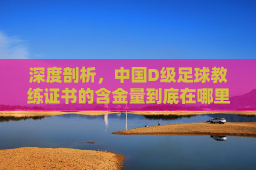 深度剖析，中国D级足球教练证书的含金量到底在哪里？