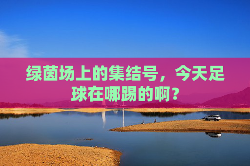 绿茵场上的集结号，今天足球在哪踢的啊？
